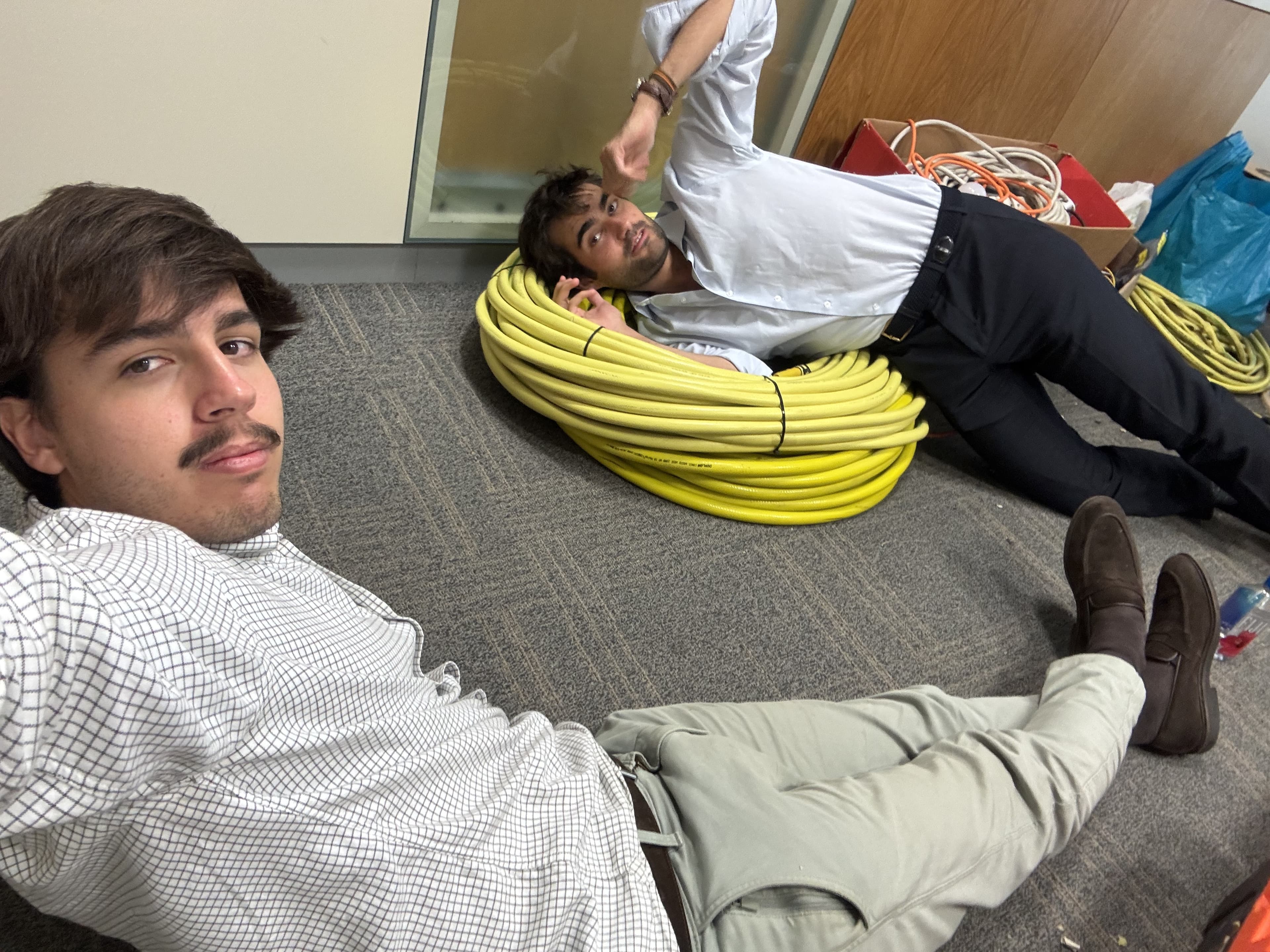 Gufi